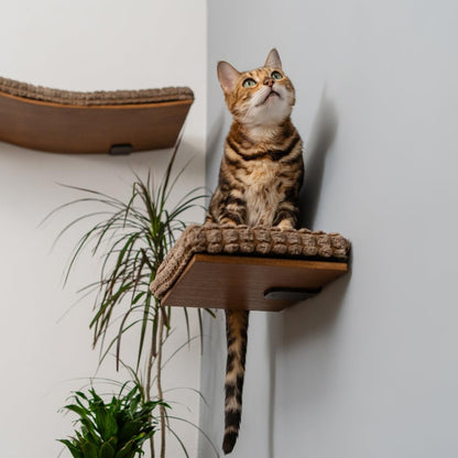 Kitsune Garden Cat Step Cat Wall Furniture Wall Mounted Shelf Cat Wall Shelf Cat Shelves Cat Bed Cat Shelf Cat Steps for Wall Brown (Step)