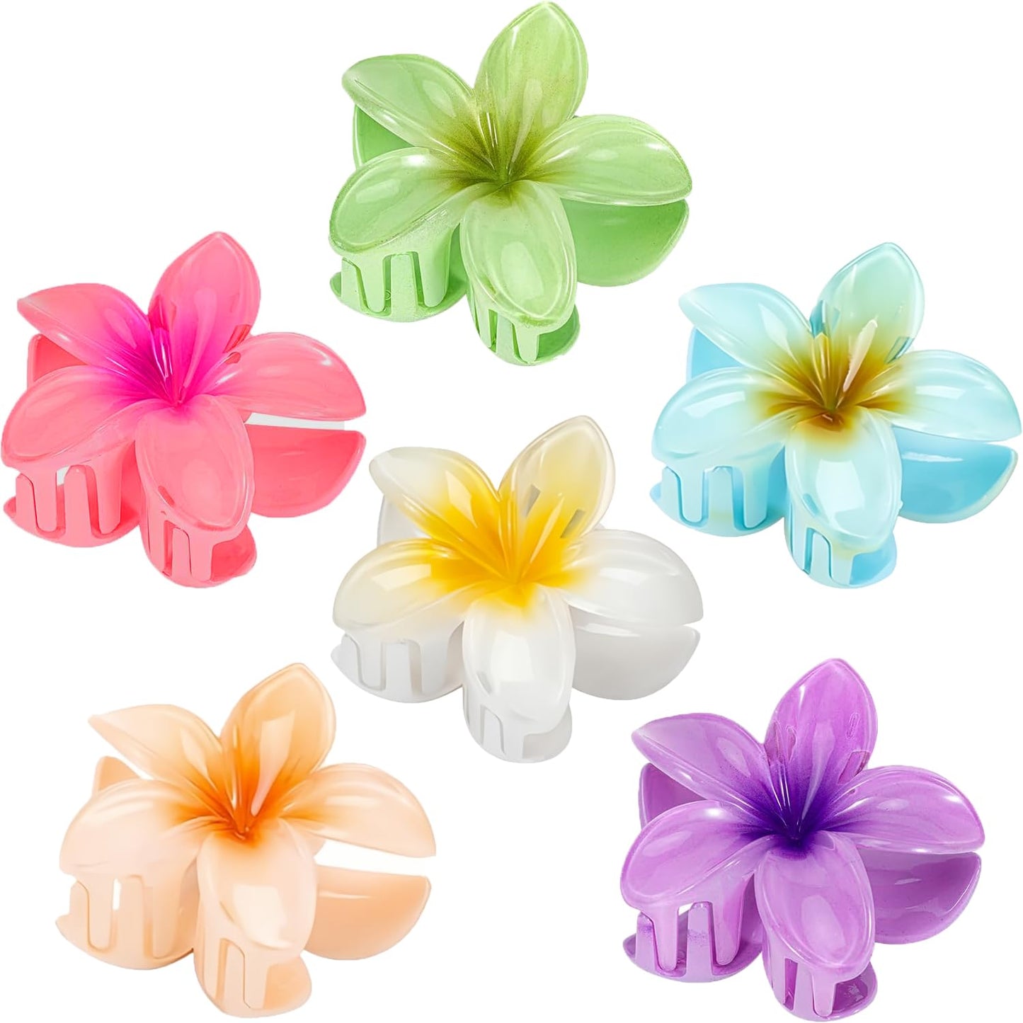 Tropical Bloom Hair Clips 6-Pack
