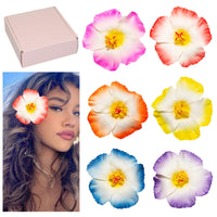 Tropical Bloom Hair Clips 6-Pack