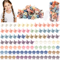Colorful Mini Floral & Butterfly Hair Grips 100pc Set